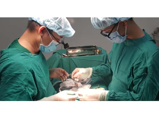 PHẪU THUẬT CHO BỆNH NHÂN 40 TUỔI BỊ GÃY “CỦA QUÝ” 